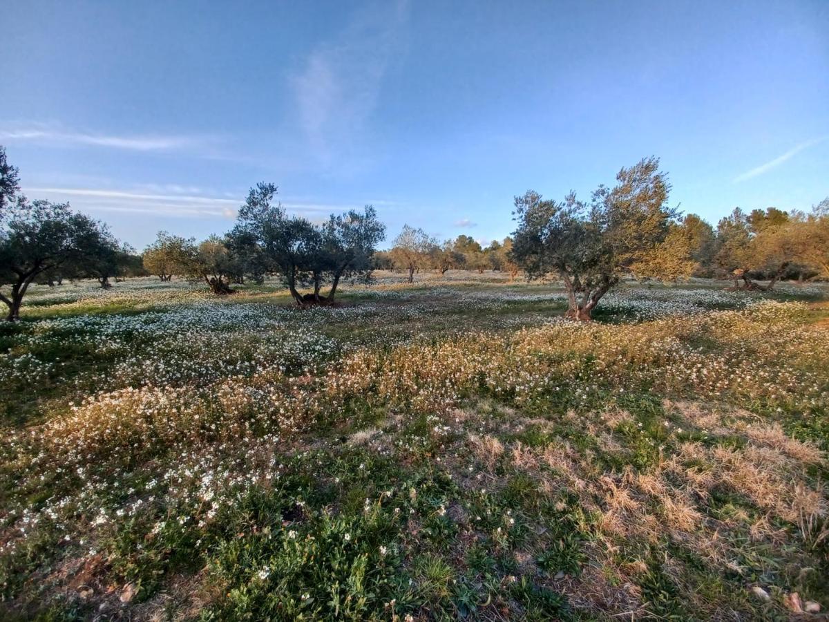 3Natura Avinyonet de Puigventos ภายนอก รูปภาพ